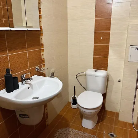Apartment Mansard Sofia